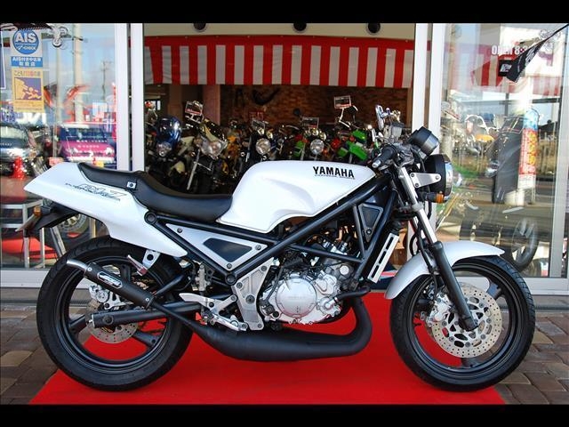 r1-z ジャッカルロングチャンバー タンデムステップ付き - 埼玉県の家具