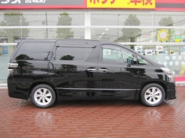 ȥ西 ե  ڥĥ롼 󥪡ʡ ξ¦ư饤 