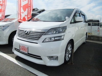 ȥ西 ե    ץʥ쥯 ȣģĥʥ ѡ 